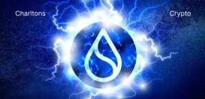 Read more about the article Sui and Digitap: Which Under-the-Radar Crypto Is the Better Buy?