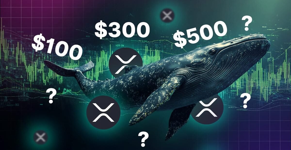 Read more about the article XRP Whales Are Moving Funds to Emerging Payment Projects Like Digitap