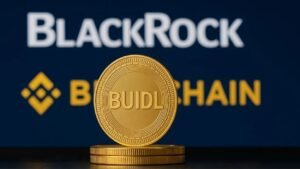 Read more about the article Tokenized U.S. Treasuries on BNB : BlackRock’s BUIDL Fund Now Live