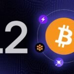 Bitcoin Performance 2025: Analysis of the Leading Layer 1