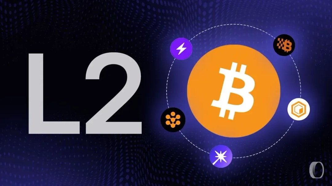 Read more about the article Bitcoin Performance 2025: Analysis of the Leading Layer 1