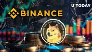 Read more about the article Bullish Trend for BNB and Dogecoin as Digitap in2026