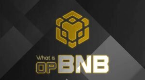 Read more about the article opBNB Mainnet Hardfork Upgrade: Block Time Now 250ms, Transaction Speed Doubled