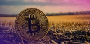 Read more about the article Morgan Stanley’s Crypto Push: New Digital  Chief to Lead ETF