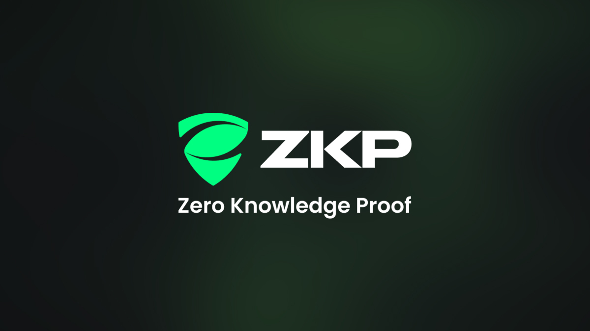 Read more about the article ZKP Infrastructure and the Bitcoin Season: The Ultimate Guide to  Trends