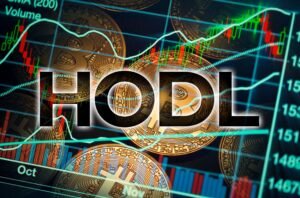 Read more about the article “HODLing 101: Why Doing Nothing Is Crypto’s Most Powerful Investment Strategy”