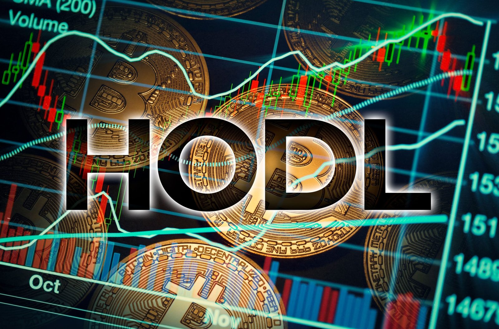 Read more about the article “HODLing 101: Why Doing Nothing Is Crypto’s Most Powerful Investment Strategy”