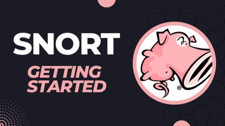“Is SNORT the Next Big Thing? 2025 Market Potential Explained”